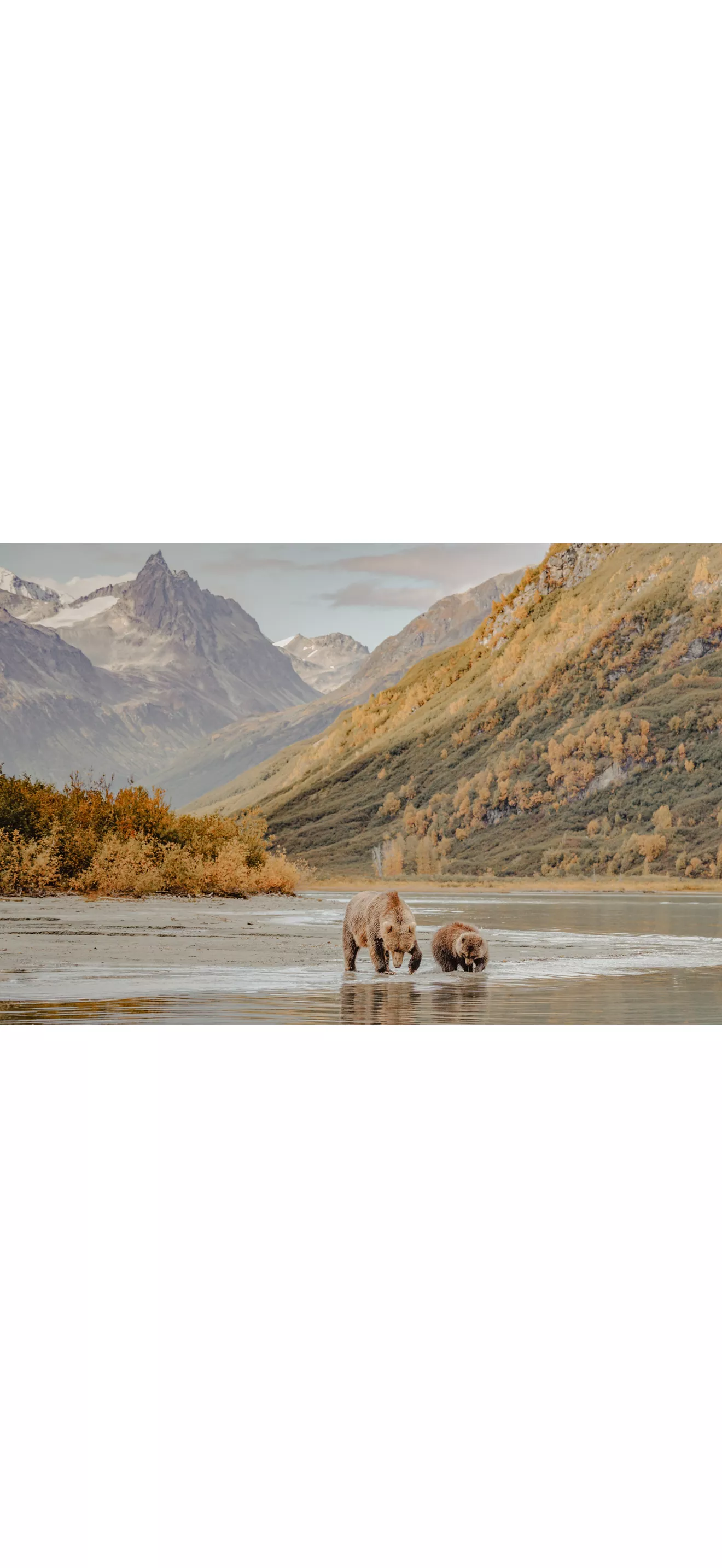 Alaska, image size:1320x880