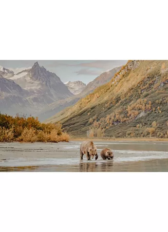 Alaska