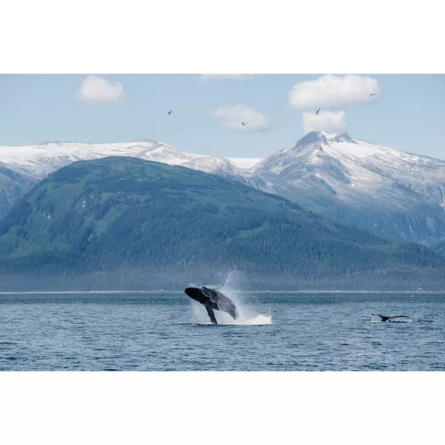 Explora Journeys Alaska