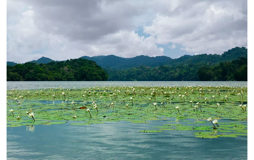 Santo Tomas, guatemala