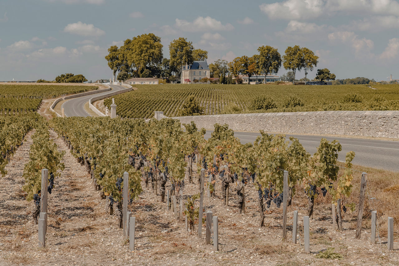 Plavba vinicemi, kulturou a podél atlantského pobřeží