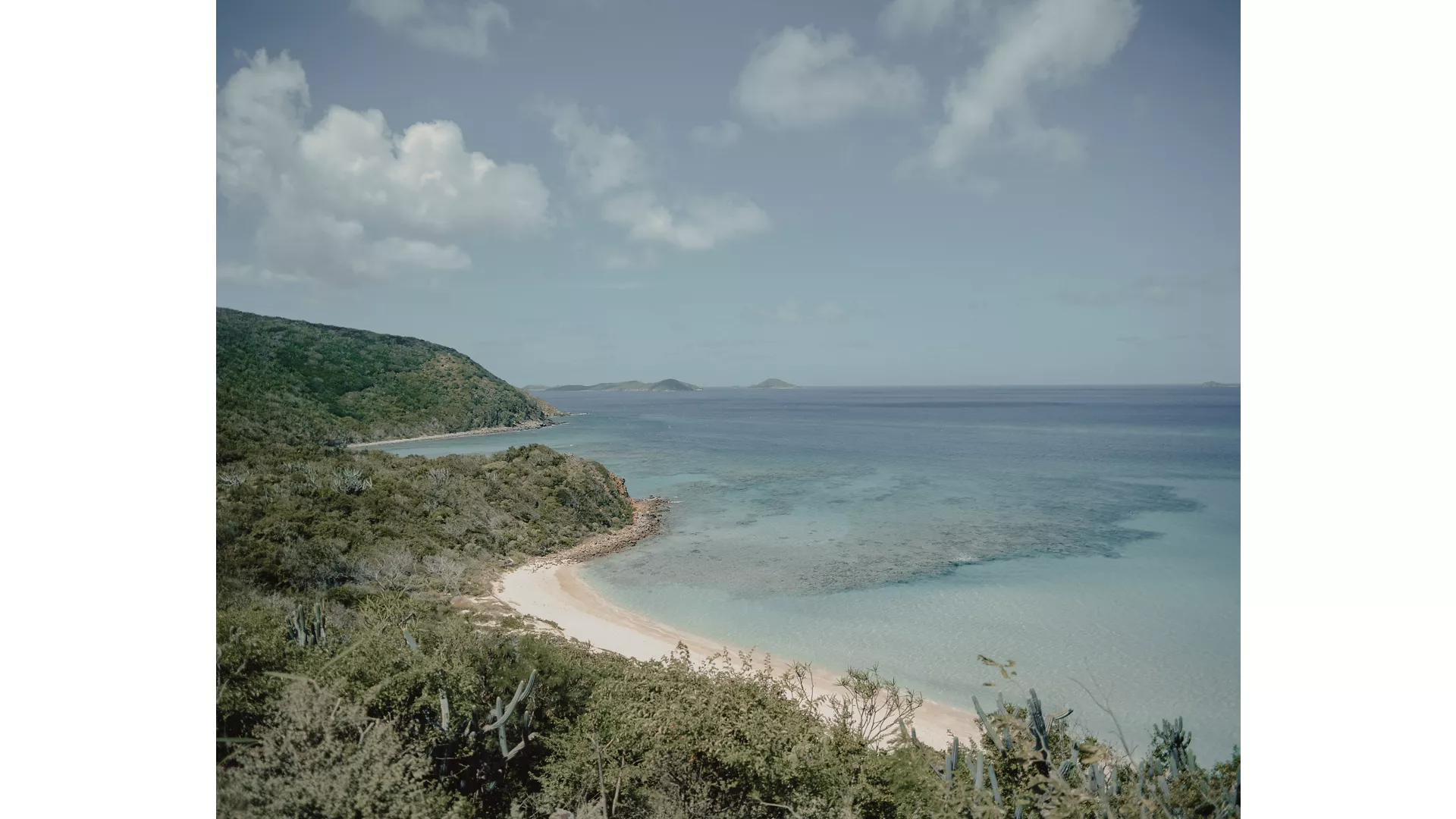 A JOURNEY THROUGH CARIBBEAN DELIGHTS & WILDLIFE WONDERS