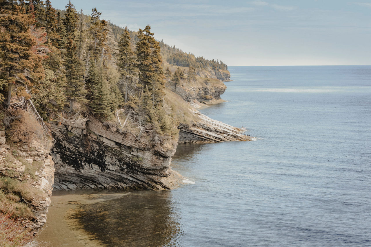 A Journey through Ocean Mists & Radiant Island Tranquillity