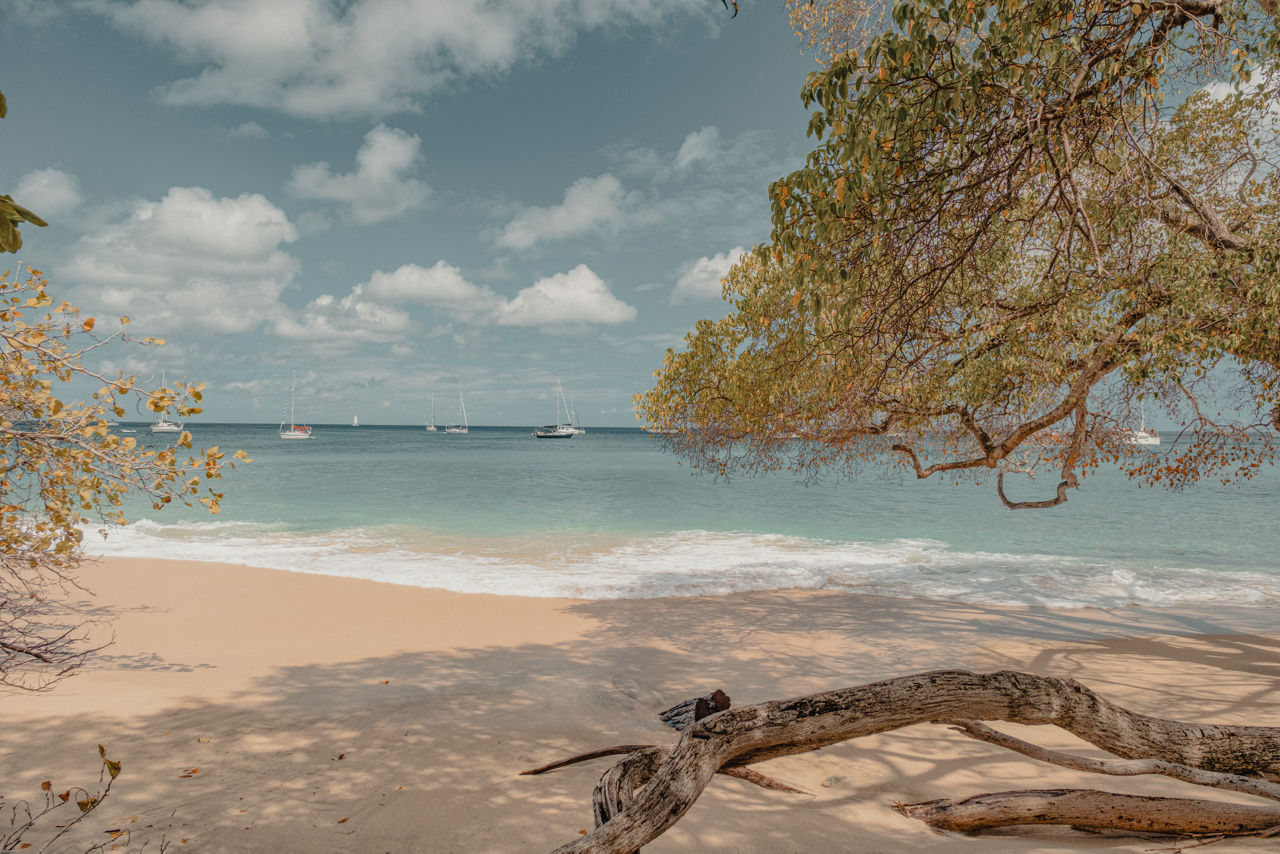 Prodloužená cesta od klidu oceánu k živoucí kultuře