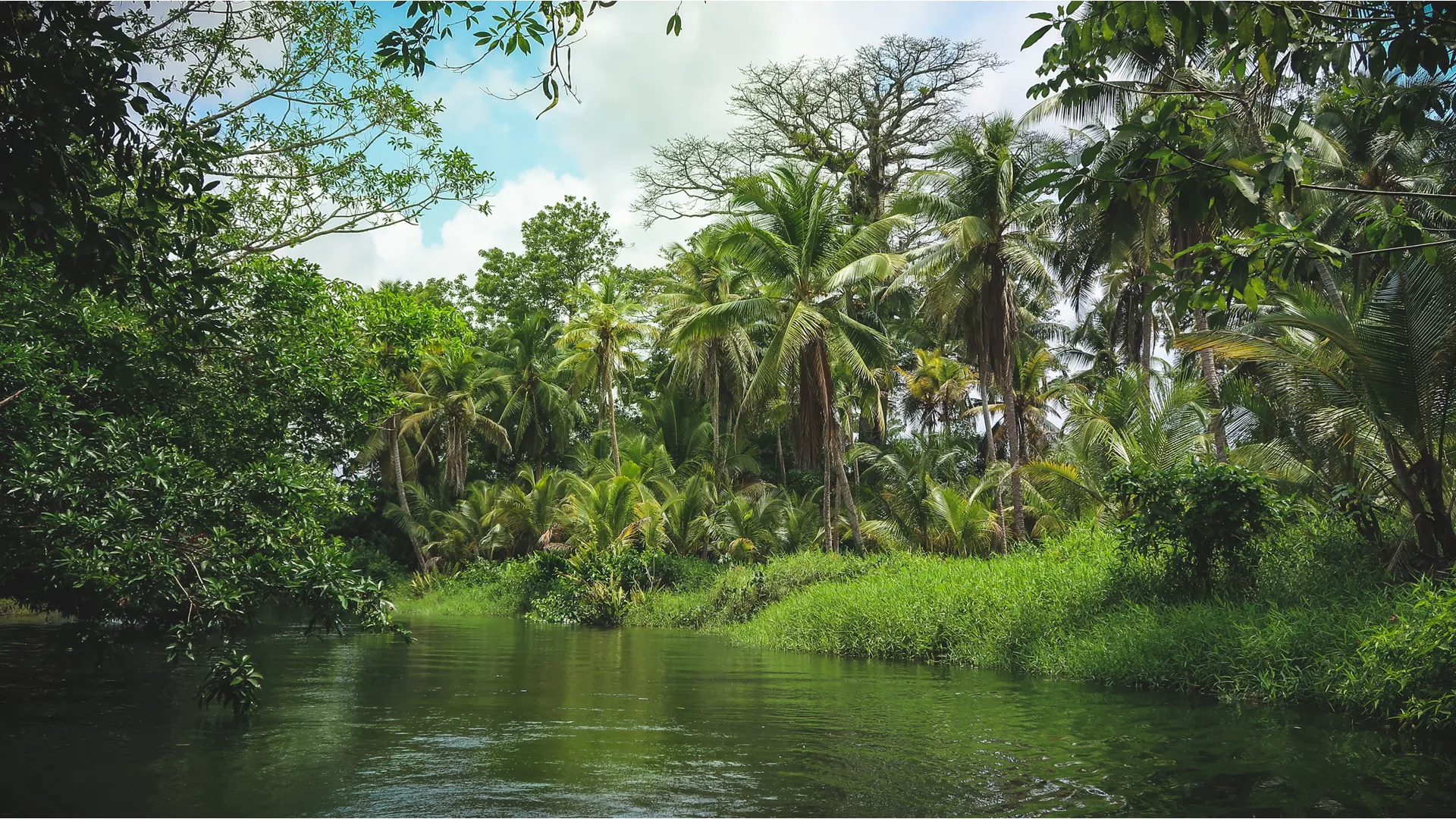 AN EXTENDED JOURNEY OF FIREWORKS, FIESTAS AND SPECTACULAR SHORES