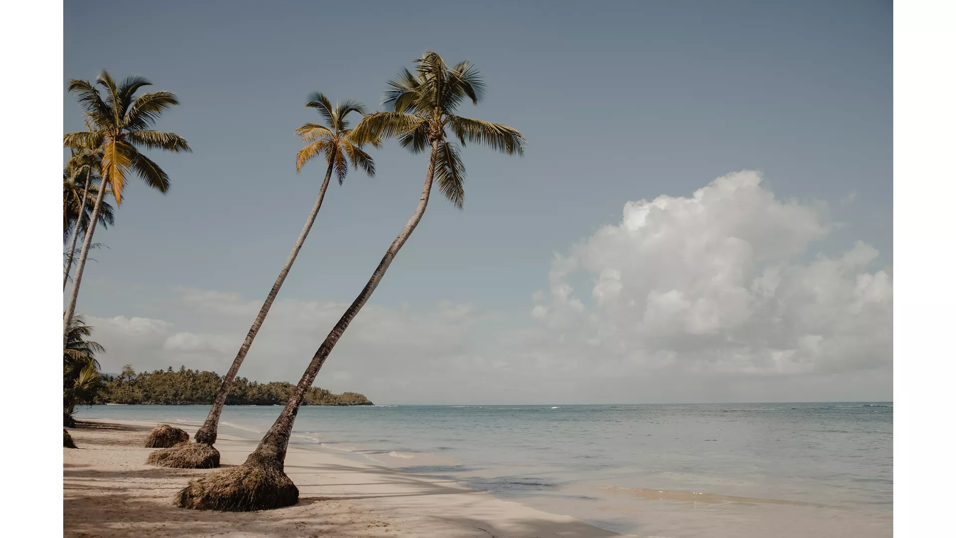 A JOURNEY THROUGH CAPTIVATING CARIBBEAN CULTURE & SUNLIT SHORES