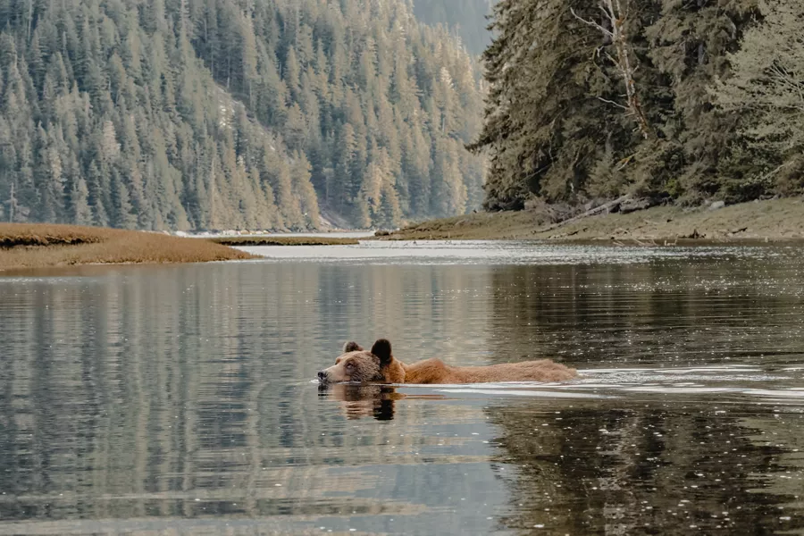Alaska Explora Cruise