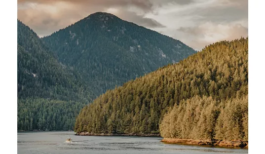 A Journey through Glacial Majesty & Alaskan Spirit